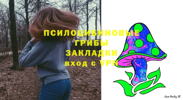 дживик Алзамай