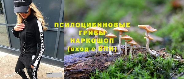 круглые Алексин