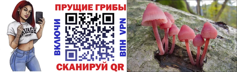 Псилоцибиновые грибы Psilocybe  цены наркотик  Харабали 
